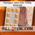 Kamagra Oral Jelly 100Mg Sildenafil new13